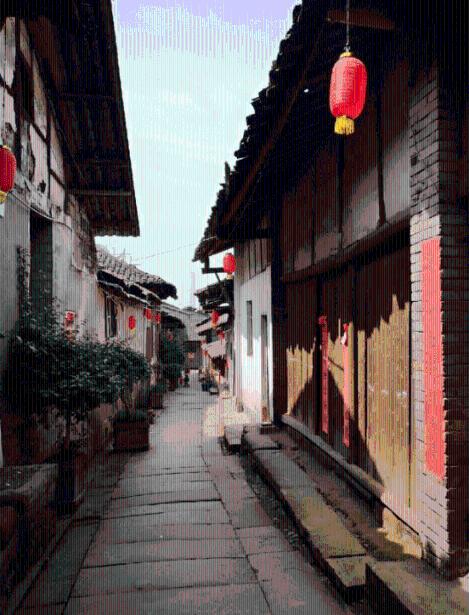 迷雾求生